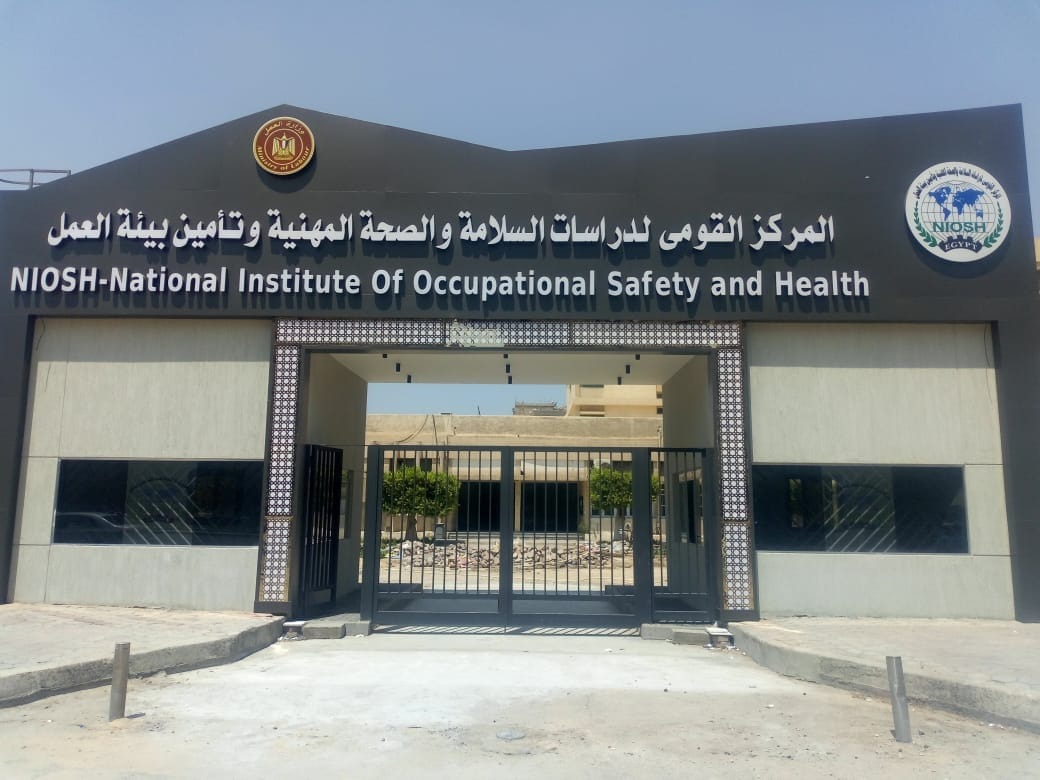 وزير القوى العامله 
